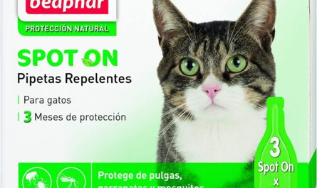 antipulgas para gatos